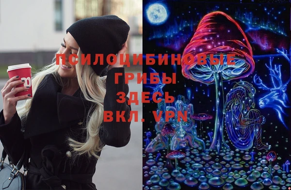 mdpv Верхний Тагил