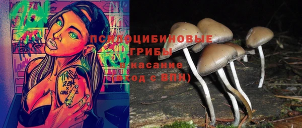 трава Верхнеуральск