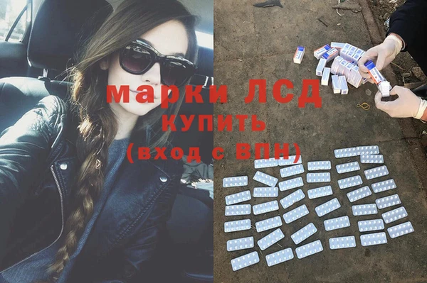 дживик Верея