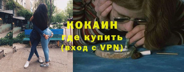 дживик Верея