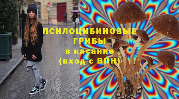 mdpv Верхний Тагил