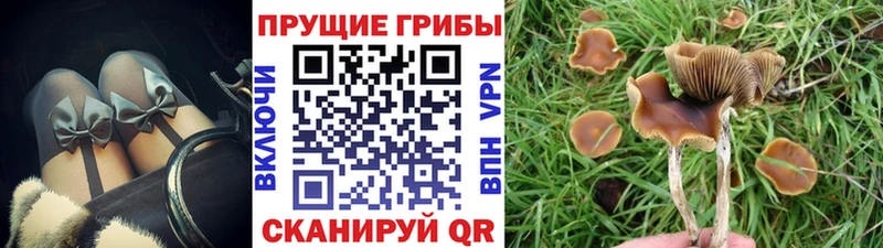 Галлюциногенные грибы MAGIC MUSHROOMS Иннополис